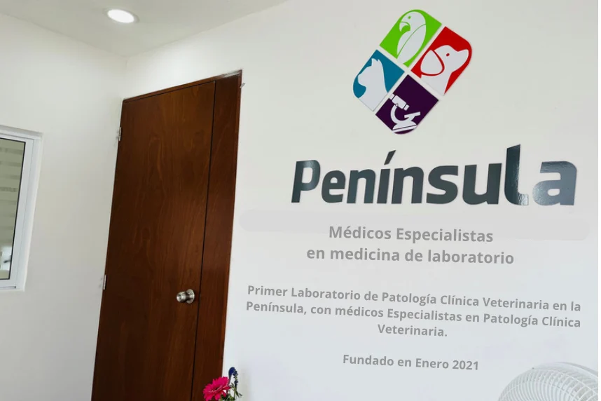 Muro de recepción de Península con el logotipo y la leyenda Médicos Especialistas en medicina de laboratorio