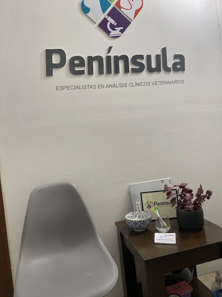 Recepción de Península con el logotipo en el muro